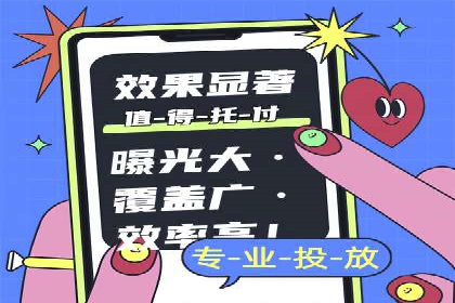 谷歌竞价广告的投放策略与成功案例分析